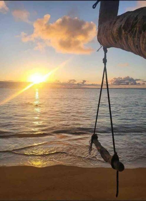 Breezy Beachfront Bali-Style Haven 180 Degree Oceanview Hau'ula Exterior foto