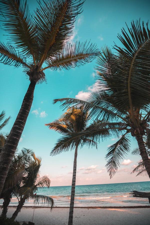 Breezy Beachfront Bali-Style Haven 180 Degree Oceanview Hau'ula Exterior foto